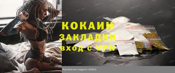 дживик Белокуриха