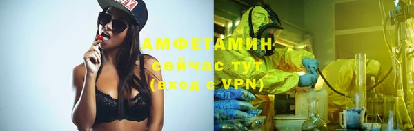 дживик Белокуриха